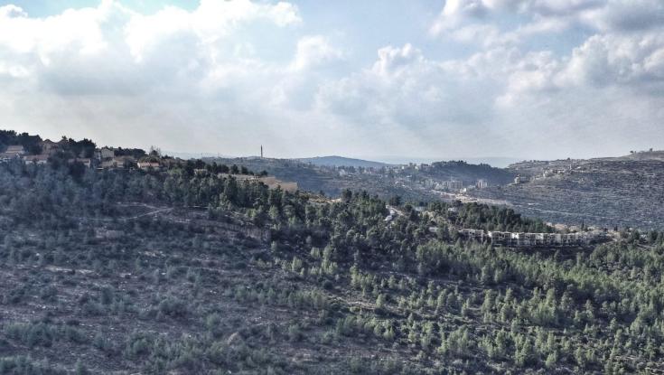 התושבים הכריעו: הרב יעקב ידידיה הלוי הוא הרב החדש של דולב