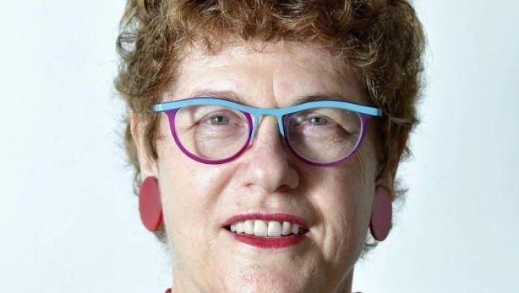 ליאורה מינקה: מקרה ציפי דינר - נורת אזהרה לחמ"ד