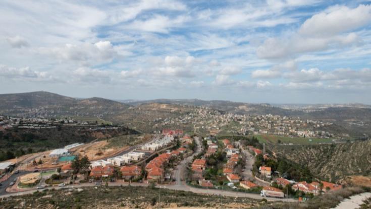 מועצת יש"ע מנצלת הזדמנויות, ותשתמש בחקירת האג לצרכי הסברה באירופה
