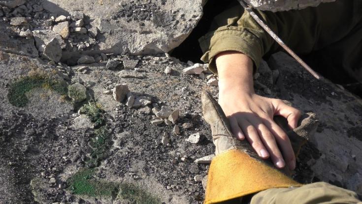 האפליקציה שתציל את החיים שלכם במקרה של רעידת אדמה