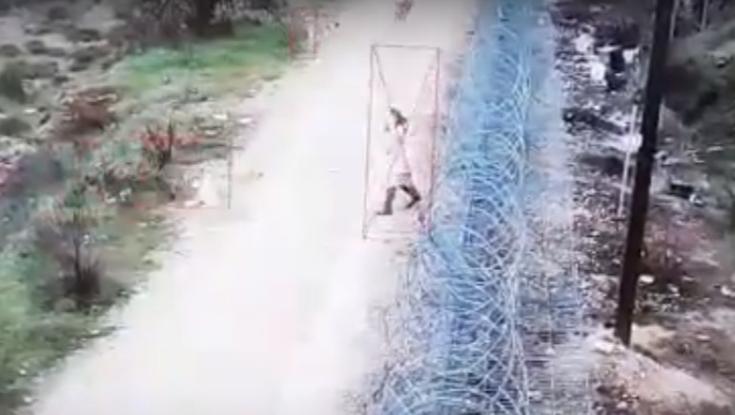 פחד מוות: צעירה הותקפה על ידי להקת כלבים משוטטים מחברון | צפו בתיעוד