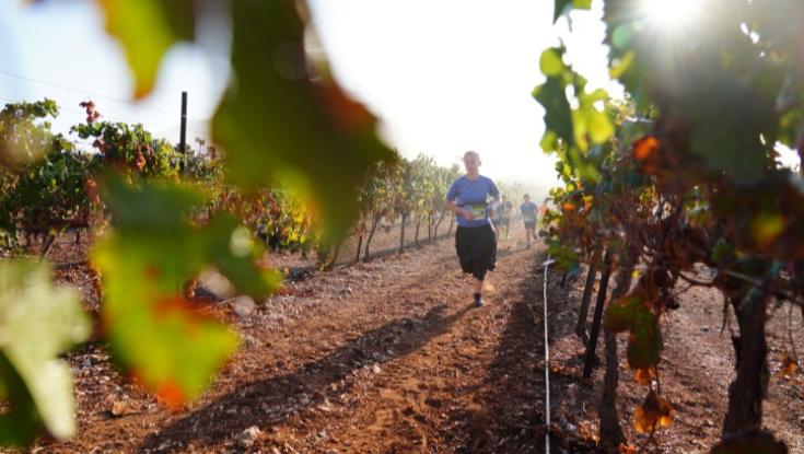 ירידה בטמפרטורות, ייתכן טפטוף : תחזית מזג האוויר