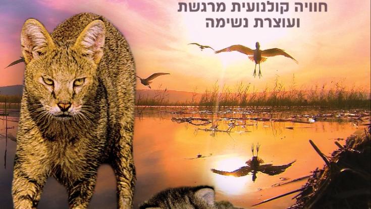 סודות הכנרת נחשפים בסרט חדש | צפו בטריילר: