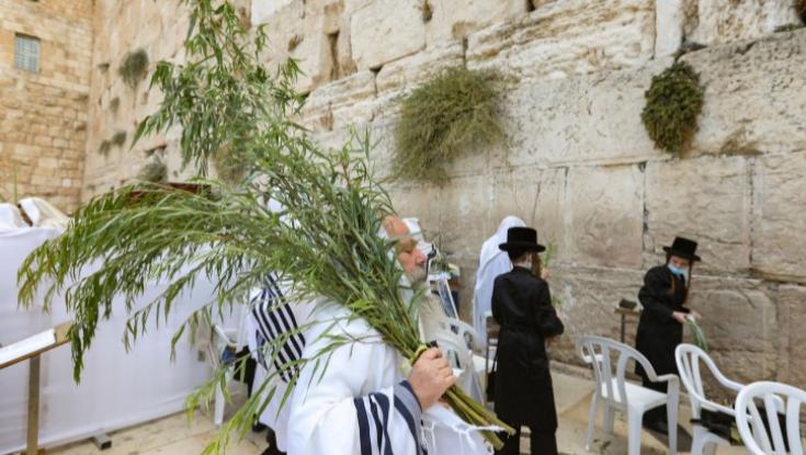 מאות בתפילת הושענא רבה מרגשת בכותל