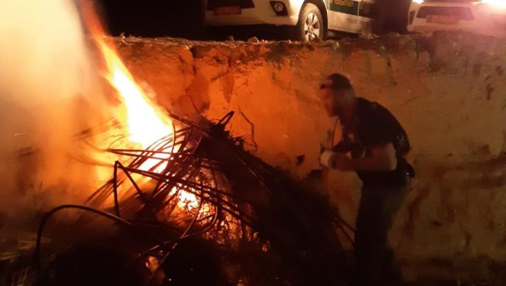 המשטרה איתרה אלפי שתילי קנאביס בדרום