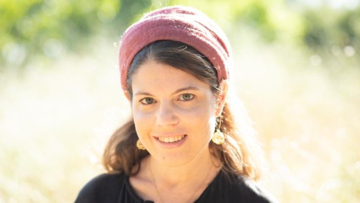 המתנגדים להסכם קדם נישואין לא רואים את האלימות הכלכלית
