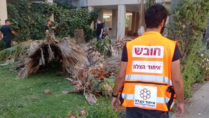 פועל נפצע קשה מקריסת העץ אותו גזם בתל אביב