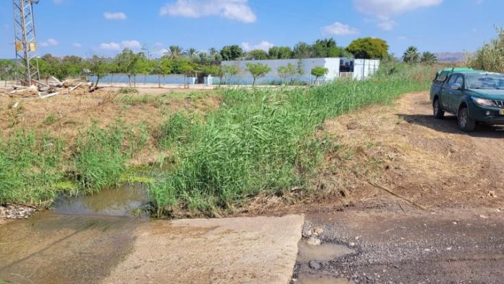 יתושים נגועים בקדחת הנילוס המערבי התגלו בנחלים בצפון