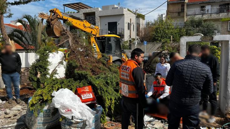 אשדוד: פצוע בינוני כתוצאה מקריסת עץ