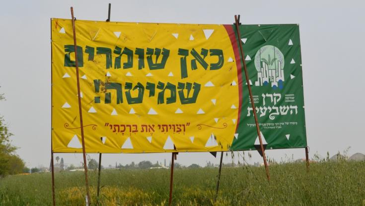 הרב דוד סתיו: "ספק גדול אם היתר המכירה ישאר בתוקפו"