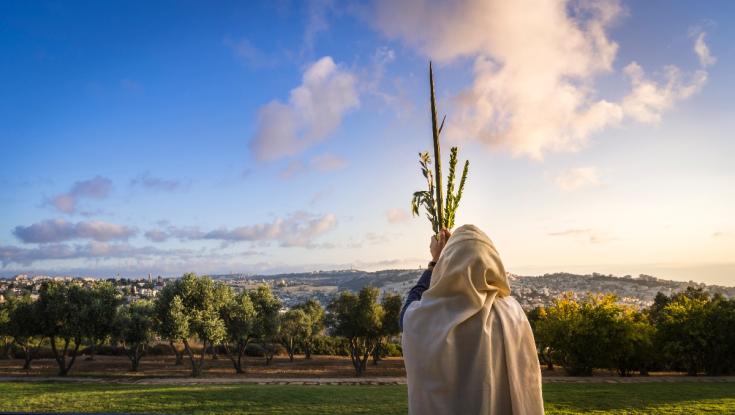 יציאה מהסוכה ואכילת ארעי: כל ההלכות לחג הסוכות תשפ"ג 2022