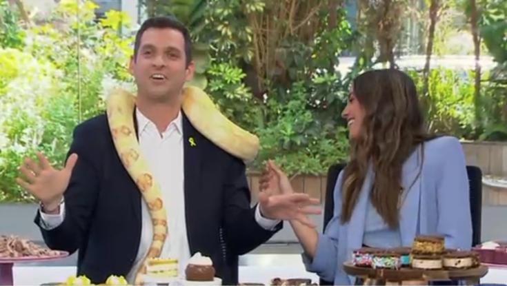 מקווים שמשלמים לו מספיק: אלעד זוהר התמודד עם נחש בשידור חי