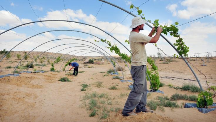 פרשת עקב | את מה שידעו אבותינו על הארץ אנחנו נוטים לשכוח