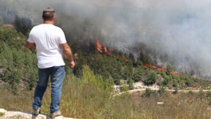 כרמי יין עלו באש, מאות דונמים של מטעי פרי נשרפו כליל: נזק כלכלי אדיר בצפון