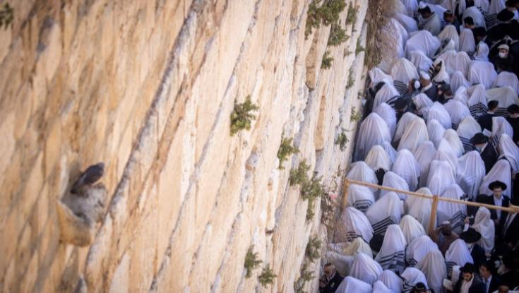ירושלים בדריכות שיא: ברכת כוהנים המונית בכותל המערבי