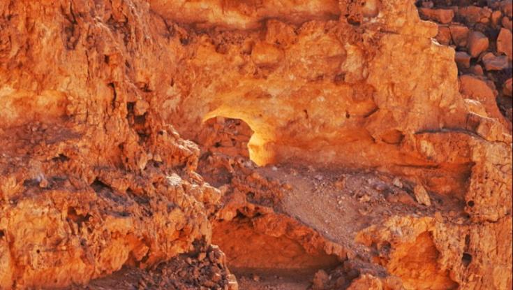 תופעת הסנה הבוער: מאות מטיילים מבקרים בהר כרכום