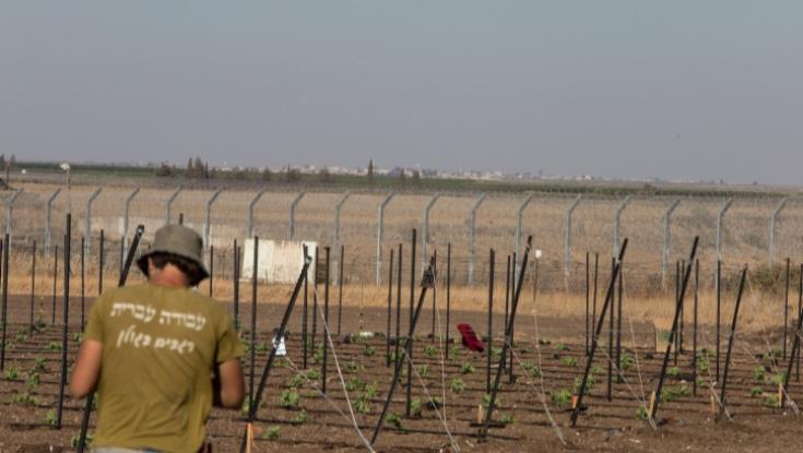 השומר החדש מגיבים לתחקיר הארץ: "לא התחפשנו ולא ניסינו להיכנס למיינסטרים"