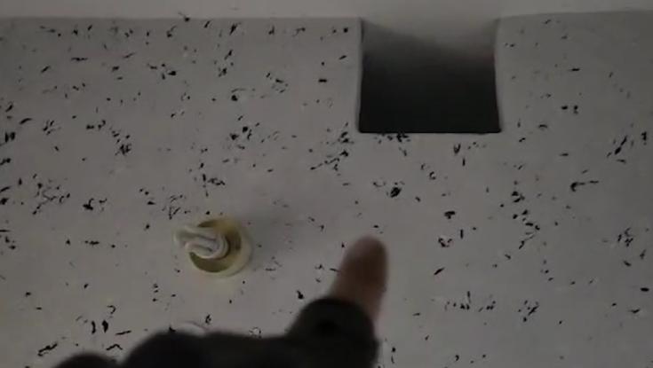 בתוך הבוידעם: כך נתפס המחבל שרצח את בני משפחת ניגרקר בחווארה