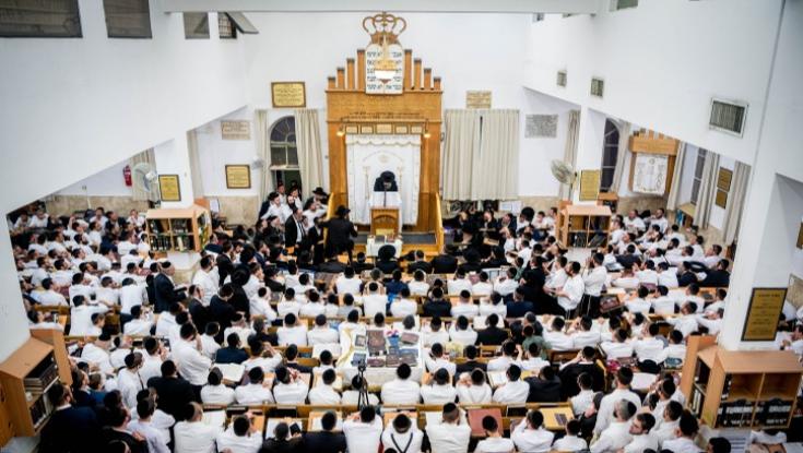 מפחדים מהיועמ"שית? צעד דרמטי מכיוון המפלגות החרדיות - נגייס בהסכמה