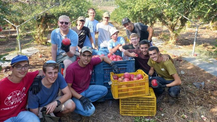 "הבגרויות יחכו": תנועת עזרא קוראת לחניכים להתנדב - גם על חשבון הלימודים
