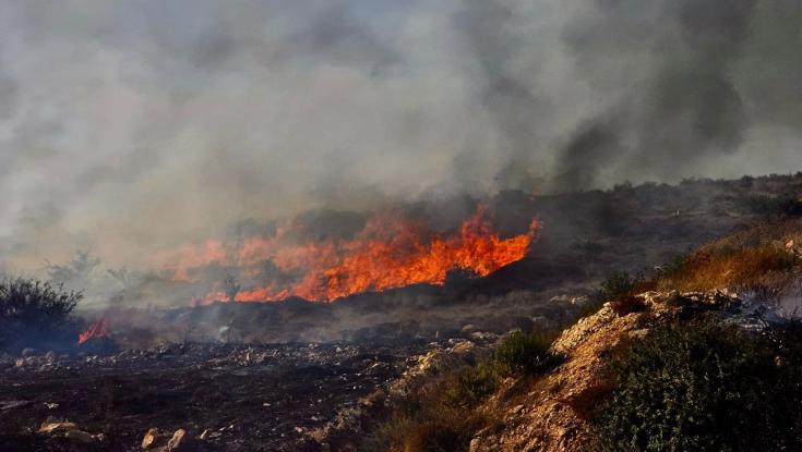 מטוסי כיבוי הוזנקו: שריפת יער פרצה סמוך ליישובים נחושה ואדרת