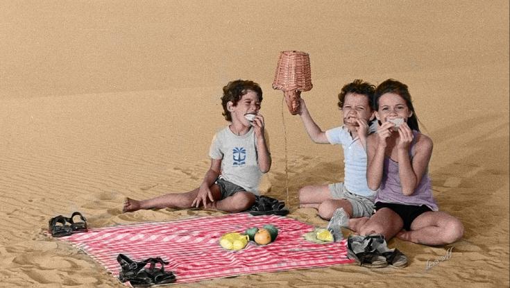 דור המדבר: סדרה חדשה במלאת 40 שנה לפינוי ימית