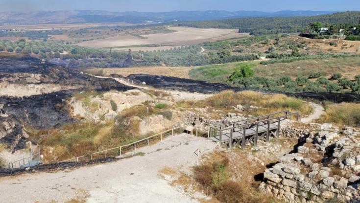 אנשי רשות הטבע והגנים מרגיעים: לא נעשה נזק בלתי הפיך לתל גזר