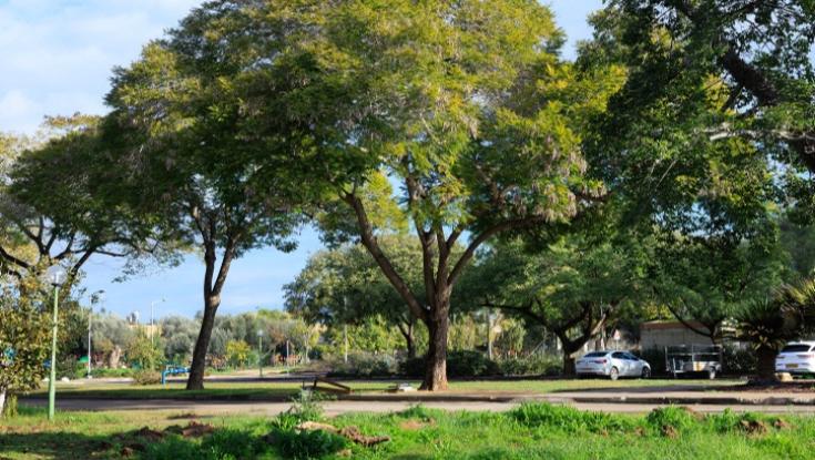 הקיבוצניקים מעמק חפר שקלטו 150 מפונים מהעוטף מתקשים להיפרד