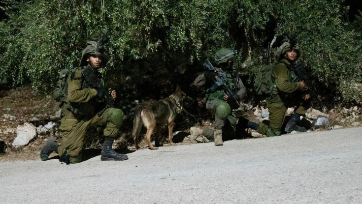 מבצע שובר גלים: כוחות הביטחון עצרו תשעה מבוקשים ברחבי יהודה ושומרון