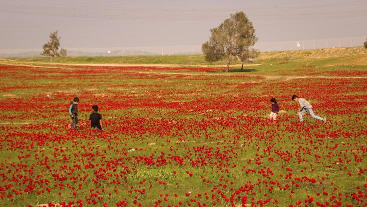 עלייה ניכרת בטמפרטורות לקראת מהפך חורפי | תחזית מזג האוויר