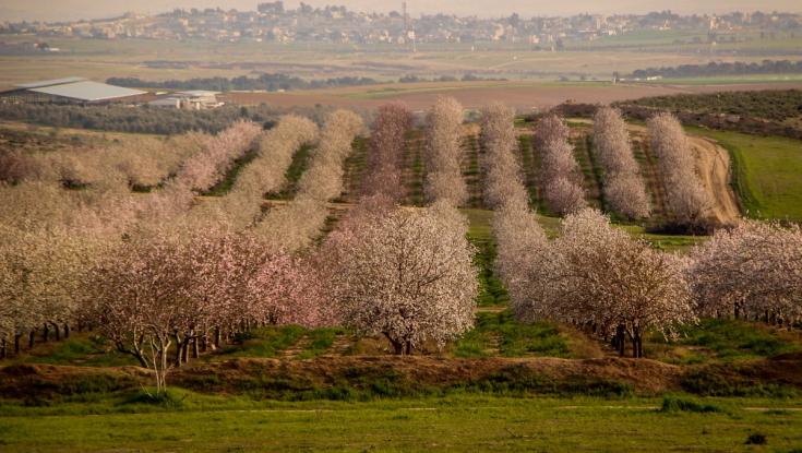 שרב באמצע החורף: מתי תחול הקלה? | תחזית מזג האוויר