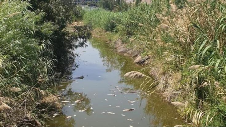 אחרי החשד להרעלה: אלו החומרים שנמצאו בשפך נחל צלמון