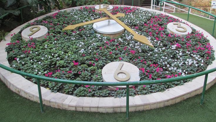 בתמיכת ההסתדרות: רב מהמרכז ניצל מפיטורין ברגע האחרון