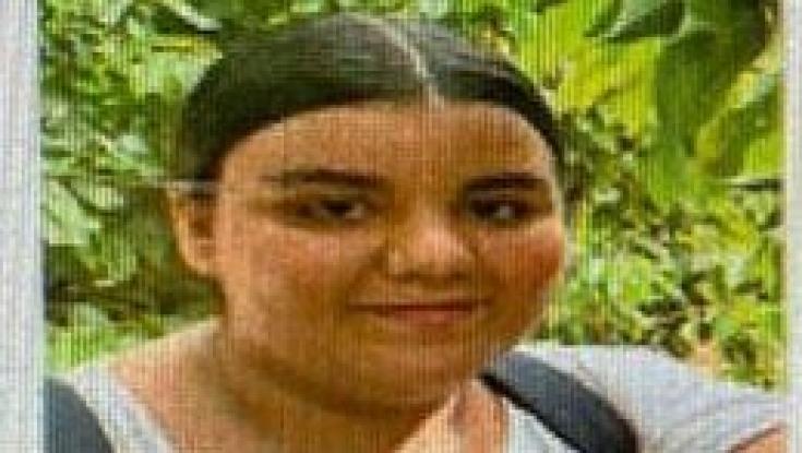 ראיתם את אלינה? המשטרה מבקשת את עזרת הציבור באיתור נעדרת