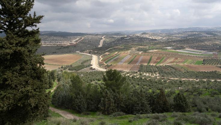 נגמר החורף? חם מהרגיל לתקופה | תחזית מזג האוויר