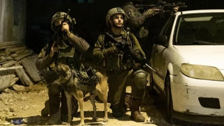 במהלך מעצר מבוקש בשכם: ירי בוצע לעבר כוחות הביטחון