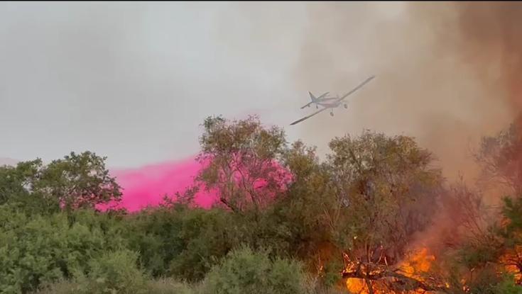 שריפה פרצה בצפון ים המלח: מתרחצים פונו, כביש 90 נחסם לתנועה
