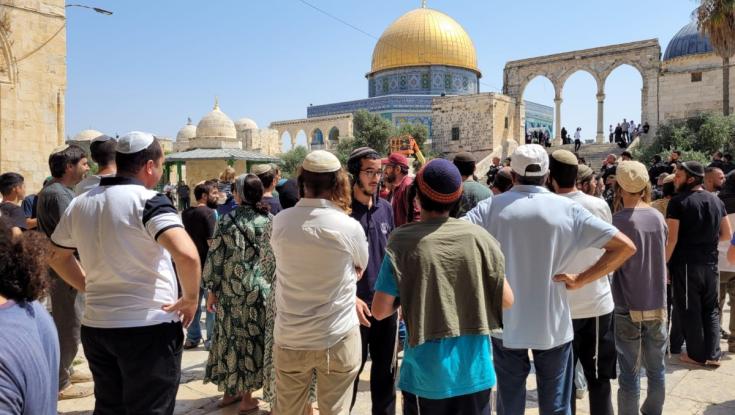 שיא חדש בהר הבית: למעלה מ- 5,000 עולים להר בחודש אב