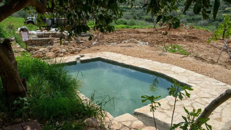 במיוחד לבין הזמנים: עשרה טיולים וסיורים חינמיים מוצעים לציבור הדתי