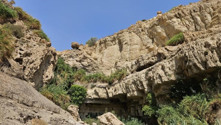 בעקבות האסון בנחל דוד: ההחלטה של עידית סילמן