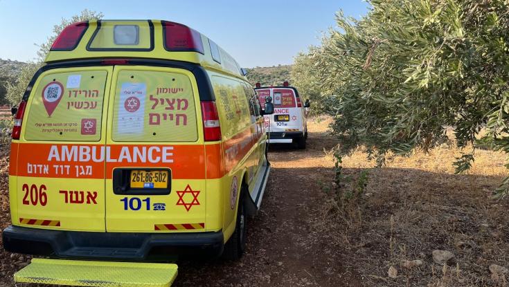 רצח כפול במגזר הערבי: שני בני אדם אותרו ללא רוח חיים במטע זיתים