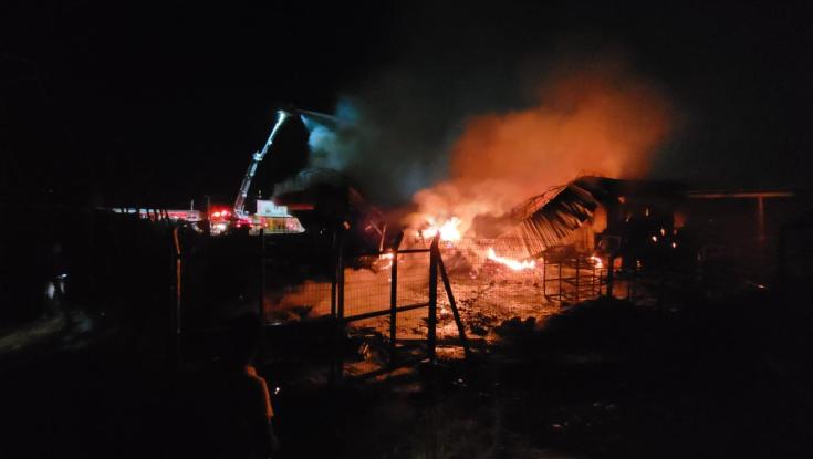 נפגעי הטרור החקלאי לא נשארים אדישים: "התופעה הולכת ומתרחבת"