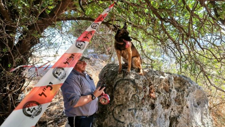 לאחר שעות של חרדה: שני הנערים שנעדרו מאז שעות הלילה - אותרו