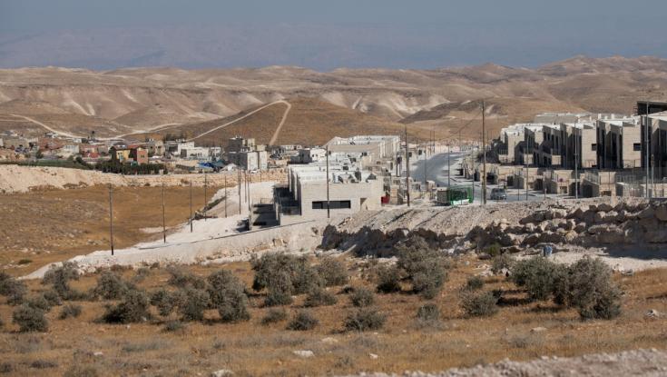 מחטף בשעות הבוקר המוקדמות: המנהל האזרחי עקר עשרות עצים ביישוב בגוש עציון