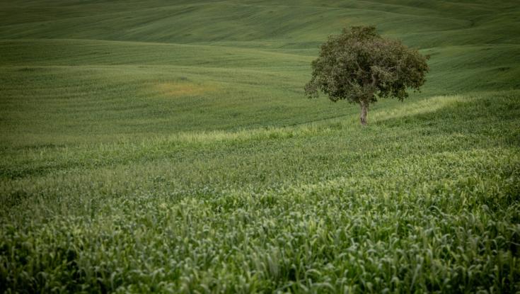 אווירה של קיץ אבל אל תתרגלו - מתי הגשם חוזר? | תחזית מזג האוויר