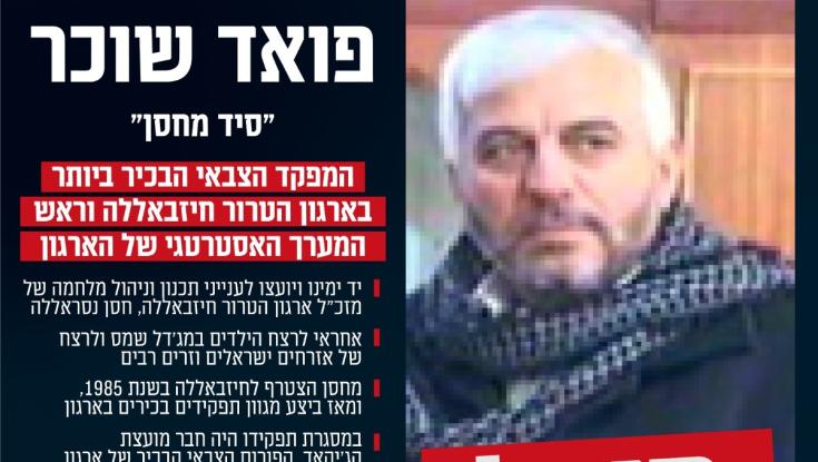 תקיפת צה"ל בלבנון: צה"ל מאשר - רמטכ"ל חיזבאללה חוסל