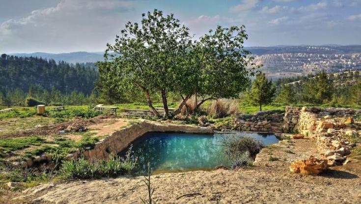 תחסכו את הפקקים לצפון: 6 מעיינות מדהימים ביהודה ושומרון
