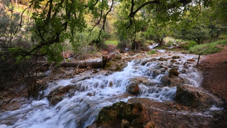 גם בלי המתיחות בצפון: הנחלים המזוהמים שמשרד הבריאות מזהיר מפניהם