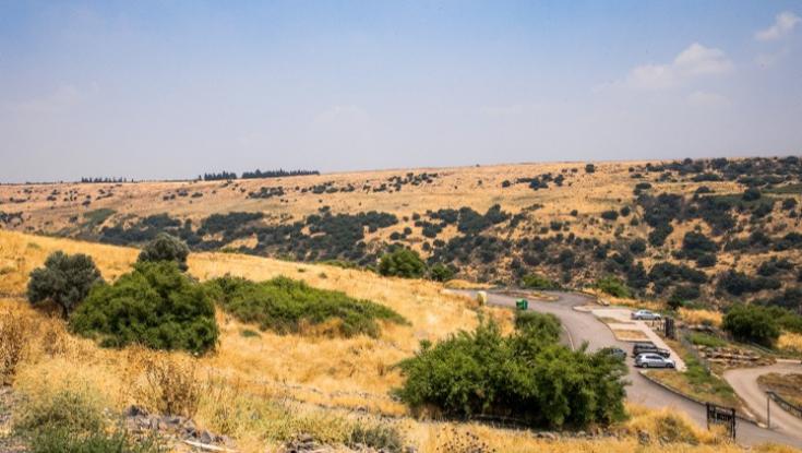 עומסי חום כבדים עד קיצוניים לקראת הקלה: תחזית מזג האוויר