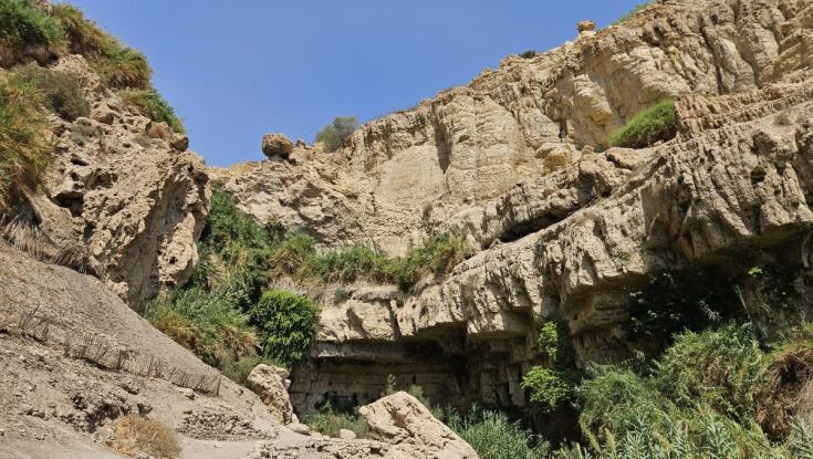 הרוג ופצועים מהדרדרות סלעים בנחל דוד: "אחותי איבדה אצבע, אני חטפתי סלע בראש"